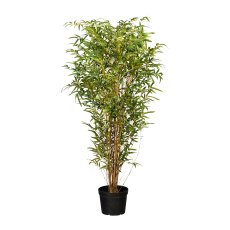 Bamboo, 150 cm Green Natural