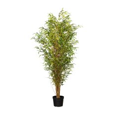 Bamboo, 180 cm Green Natural