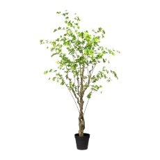 Louisiana-Baum ,grün ca 240cm,