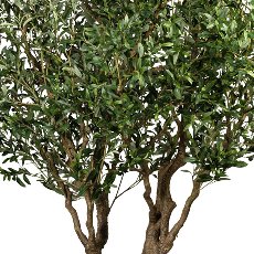 Olive Tree, green ca. 240cm, with Fruits, in plastic pot 28x23cm, Pu Trunk, 12 Branches