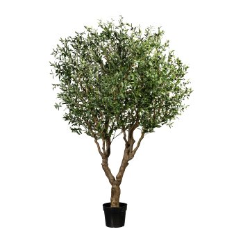 Olive Tree, green ca. 240cm, with Fruits, in plastic pot 28x23cm, Pu Trunk, 12 Branches
