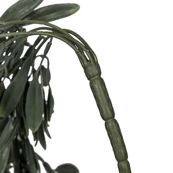 Olive Leaf Hanger x5, ca. 85cm, 10 Fruits, plastic, green