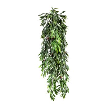 Olive Leaf Hanger x5, ca. 85cm, 10 Fruits, plastic, green