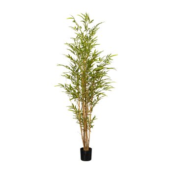 Bamboo x 5, ca. 150cm Green, 1080 Plastic Leaves, Natural Trunk, In Plastic Pot 13x11,5