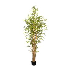 Bamboo x 8, ca. 180 cm Green,