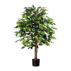 Ficus Benjamini, 120cm, green, natural Trunk, 1260lvs in pot 15x13cm