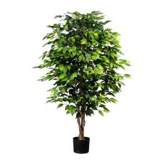 Ficus Benjamini, 150cm, green, natural Trunk, 1764 leaves, in pot 15x13cm