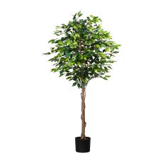 Ficus Benj., 180cm green, 1008 leaves, natural Trunk, in pot 16x14cm