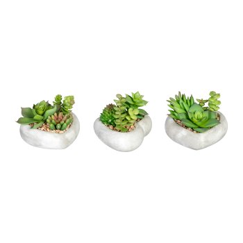 Succulent Arrangement, 7cm, 3 assorted, In Cement Bowl Heart 10x9x3cm, with Gravel,