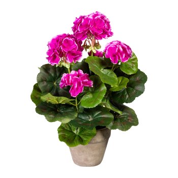 Geranienbusch x7, ca 34cm, lila, im Zementtopf 10,5x9cm grau, Polyester
