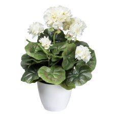 Geranium bush x7, ca 34cm, cream, in white plastic pot, polyester