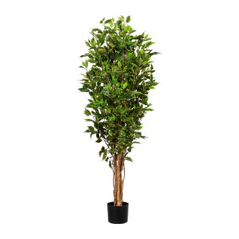 Ficus Benjamini 1056 leaves ca 150cm, natural trunk, UV resistant, in plastic pot