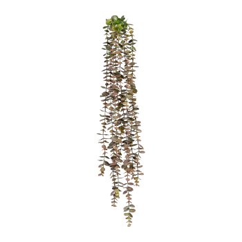 Eucalyptus hanger x8, ca 80cm, green-pink, plastic 1/Poly,