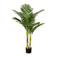 areca palm x2, ca 120cm, 9 fronds, in plastic pot 15x13cm, black, with soil