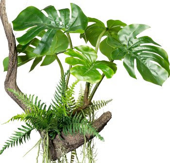 Splitphilodendron x5 leaves, wire hanger, on root 50x50/160cm, with fern and