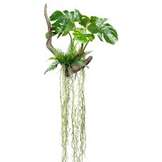 Splitphilodendron x5 Bl.m. wire hanger, on root 50x50/160cm, with fern and