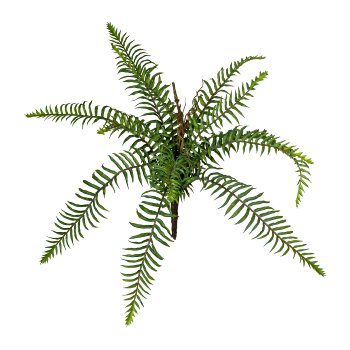 Wildfarnbusch x12, H ca 40cm, Kunststoff, grün DM ca 50cm