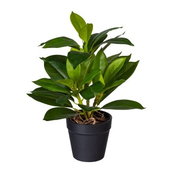 Grünpflanzenmix 4fa sort., ca 23cm, 35 Bl., Kunststoff, im Topf 8,5x8cm, Ficus,