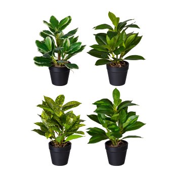 Grünpflanzenmix 4fa sort., ca 23cm, 35 Bl., Kunststoff, im Topf 8,5x8cm, Ficus,