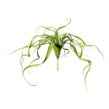 Tillandsien-Hänger x22, ca 65cm Kunststoff, grün