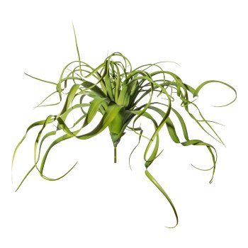 Tillandsien-Hänger x37, ca 70cm Kunststoff, grün