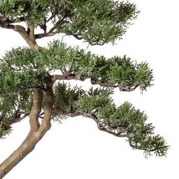Bonsai Pine ca. 90x40cm, In Plastic Bowl 17,5x16,5cm, Black, Plastic