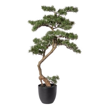 Bonsai Pine ca. 90x40cm, In plastic bowl 17.5x16.5cm, black, plastic