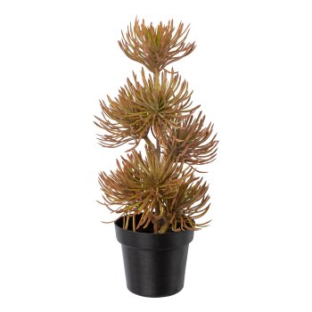 Kunststoffpflanzen, ca 23-25cm herbstbraun 3fa sort., im Kunststofftopf schwarz 7,5x6cm
