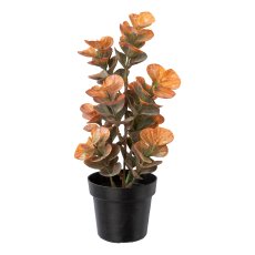 Kunststoffpflanzen, ca 23-25cm herbstbraun 3fa sort., im Kunststofftopf schwarz 7,5x6cm