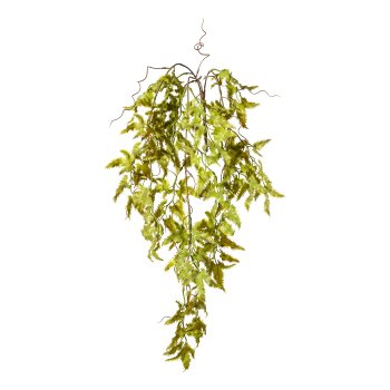 Lygodium hanger x3, ca 65cm green (Japanese climbing fern)