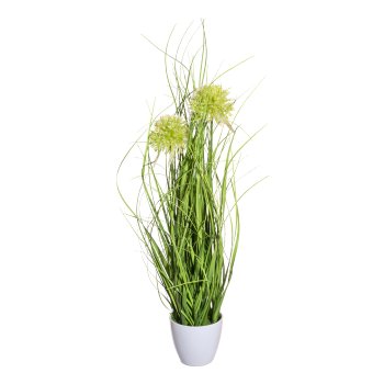 Grass bush with allium x2,green ca 50cm, in melamine pot white 9x8cm