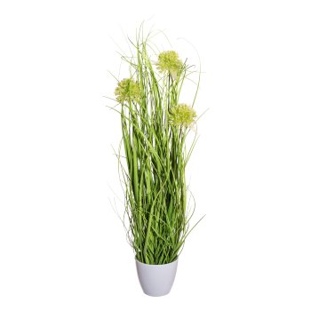 Grass bush with allium x3,green ca 60cm, in melamine pot white 11x10cm