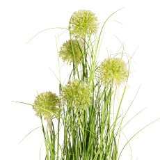 Grass bush with allium x5,green ca 80cm, in melamine pot white 14x13cm