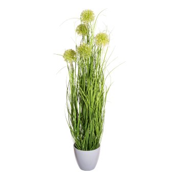 Grass bush with allium x5,green ca 80cm, in melamine pot white 14x13cm