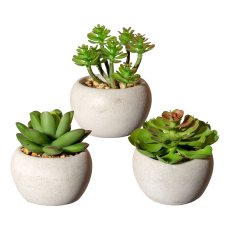 Succulents 3 assorted, plastic, green 6-8cm,in cement pot 6x4cm w. gravel 3/box