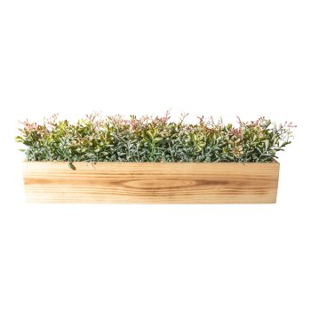 Tea leaf plastic,ca 16cm green-brown in wooden box 52x10x9cm natural with gravel