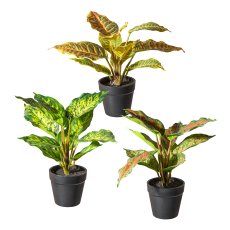 Mix of green plants, 3 assorted, ca 25cm, 10 leaves, plastic, in pot 8,5x8cm,