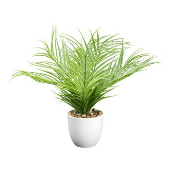 Mini areca palm x9, ca 37cm green, in plastic pot white 11x10cm w. pebble, plastic