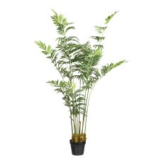 Ming palm x9 ca 180cm green in