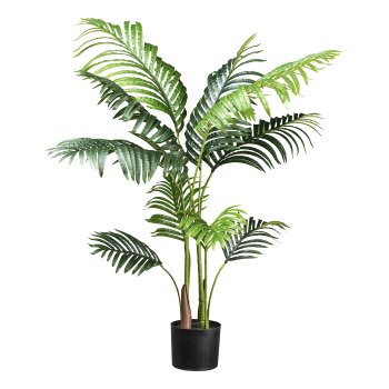 Kentia palm x10, ca 110cm green in plastic pot 15x13cm