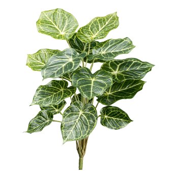 Nephtytis, 18 leaves green, ca 50cm plastic