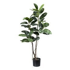 Ficus elastica grün, ca 150cm im Kunststofftopf 20x17cm schwarz, mit Erde