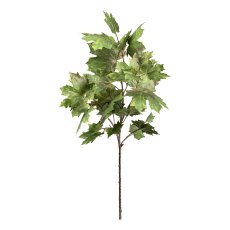 Maple branch x27 flowers green ca 110cm