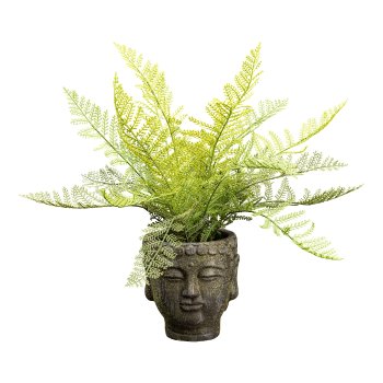 Fern bush x18 ca 35cm plastic green, in cement pot Buddha 12x13cm, with moss