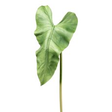Anthurium leaf, 44x22x93cm