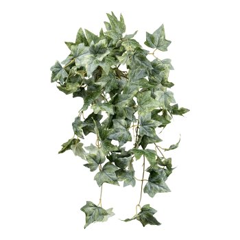 Efeuhänger x8, ca 70cm grüngrau