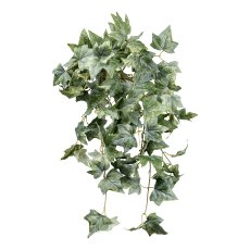 Efeuhänger x8, ca 70cm grüngrau