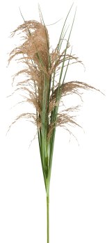 Natur-Schilfgraszweig, ca 105cm mit Kunststoffgras grün