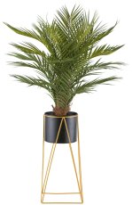 Areca palm x21, approx. 110cm green in metal pot 19x16cm with soil, on metal rack 49cm