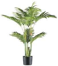Bamboo palm x4, 13 fronds, 100cm green, in plastic pot 14.5x12.5cm, with soil